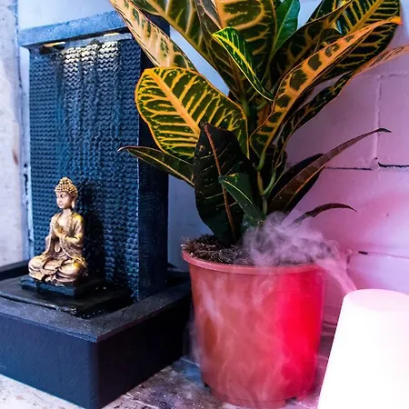 Good Morning Trastevere Apartment *